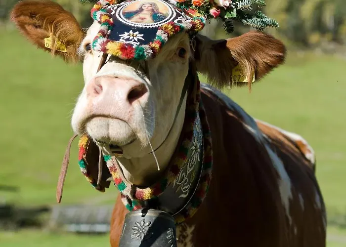 Casa vacanze Bergzauber By Piaunddirk