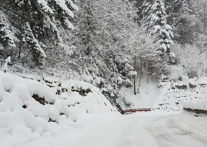 Casa vacanze Bergzauber By Piaunddirk *