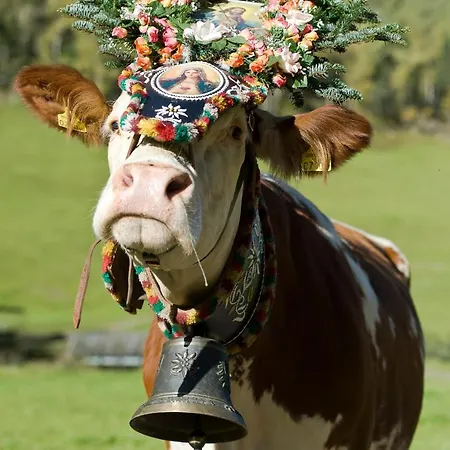 펜션 Bergzauber By Piaunddirk